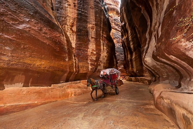1 Day Tour to Petra From Eilat - Lunch in Wadi Musa after the ruins