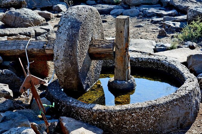 2-Day Northern Israel Tour from Tel Aviv: Golan Heights, Nazareth and the Sea of Galilee - Capernaum and the Church of the Multiplication