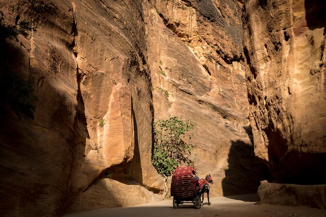 2 Day Petra Tour from Jerusalem - The approach to Petra and the first guided visit