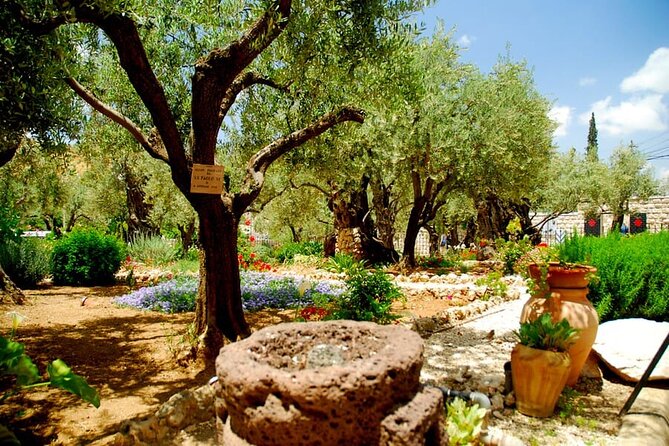 4-Day Christian Tour from Tel Aviv: Jerusalem, Jericho, Bethlehem and Nazareth - Who should book this tour?