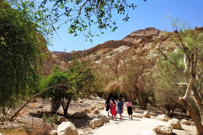 4WD Masada Ein Gedi Judea desert Dead Sea adventure 4x4 Tour. - How Michael shapes the day