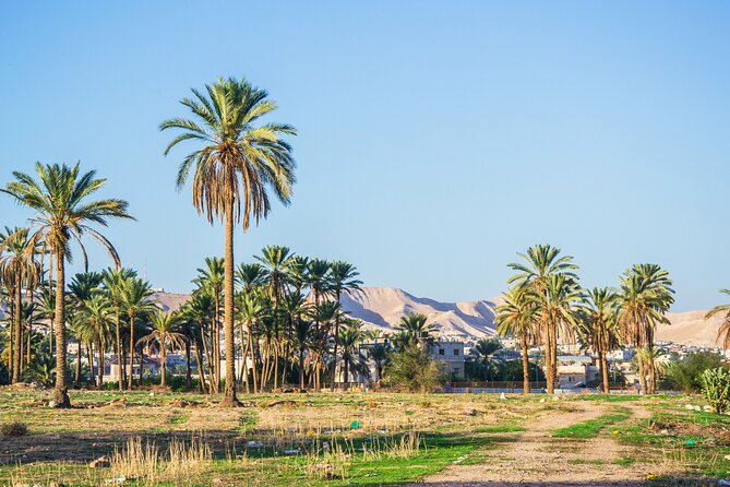 Bethlehem, Jericho & Jordan River Tour from Tel Aviv - Who should book this trip?