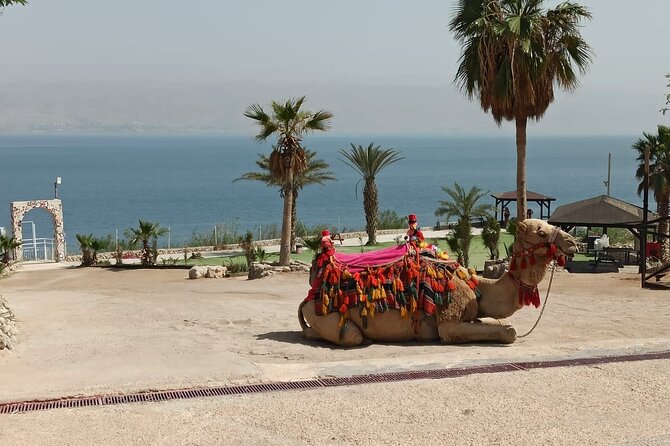 Bethlehem & The Dead Sea Full Day Tour from Jerusalem/TLV - Entering the Church of the Nativity