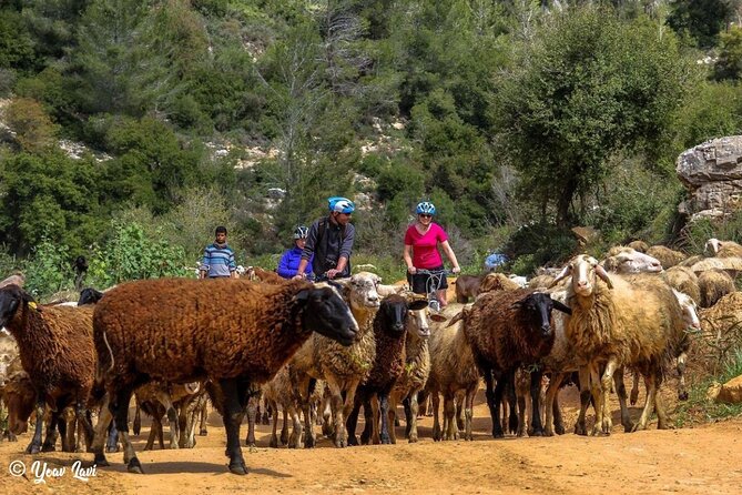 Bike the Holy Land with Yoav Lavi, Bike Guide for all levels and a Photographer - Starting in Tel Aviv and choosing your route