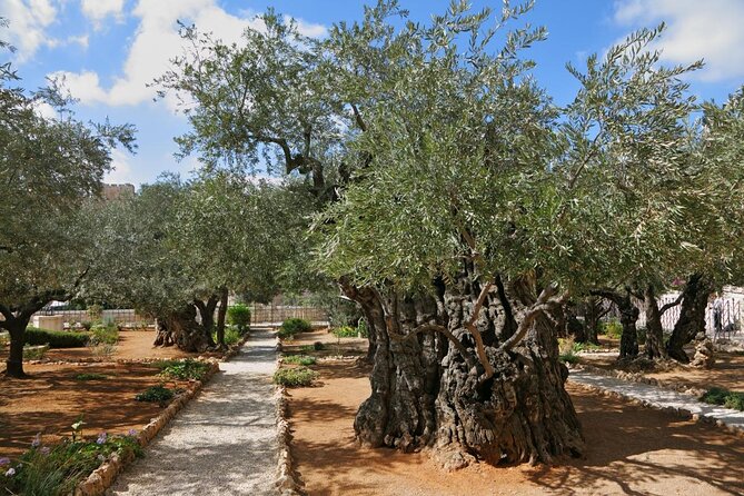 Day Tour Cruises Ashdod Port Jerusalem & Dead Sea or Bethlehem - Key points to know before booking