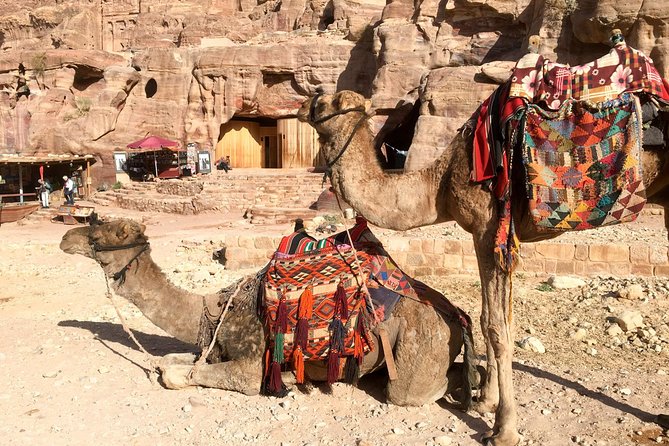 Day Tour to Petra by Bus from Tel Aviv - Leaving Tel Aviv at 2:00 am