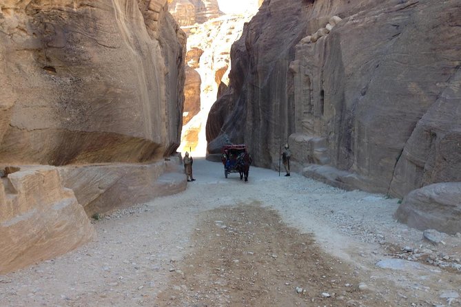 Day Tour to Petra by Bus from Tel Aviv - Where the experience falls short