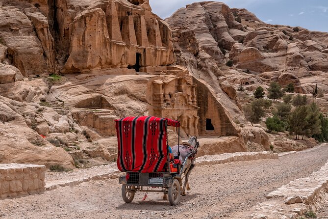 Day tour to Petra from Jerusalem - Aqaba, Wadi Rum, and the return border crossing