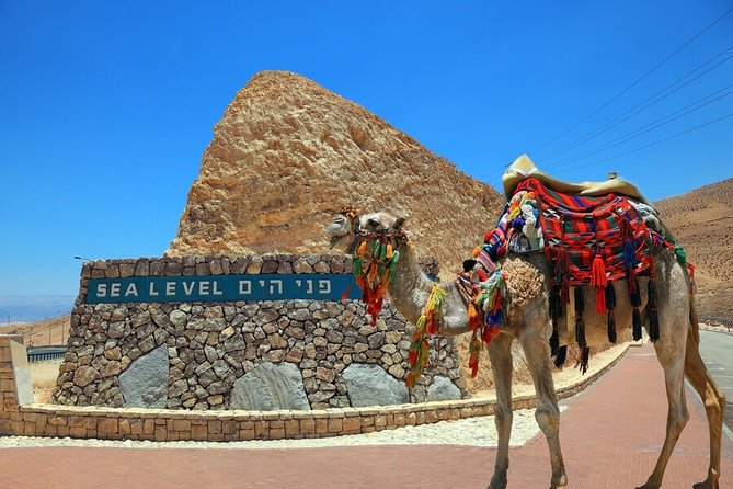 Dead Sea Relaxation Day from Tel Aviv - Across the Judean Hills and down to Sea Level 0