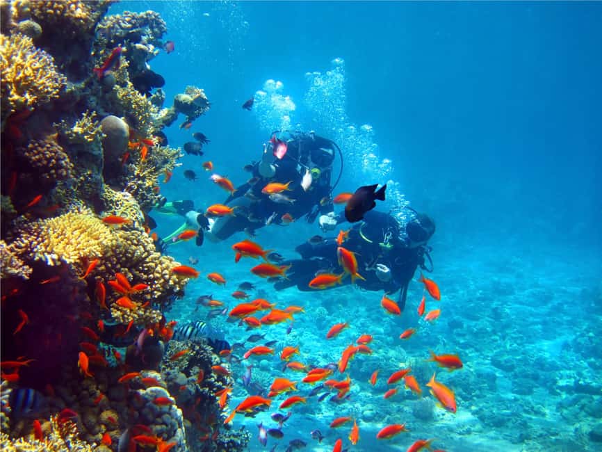 Eilat: Intro to Diving with Certified Instructor - Is $85 a fair price?