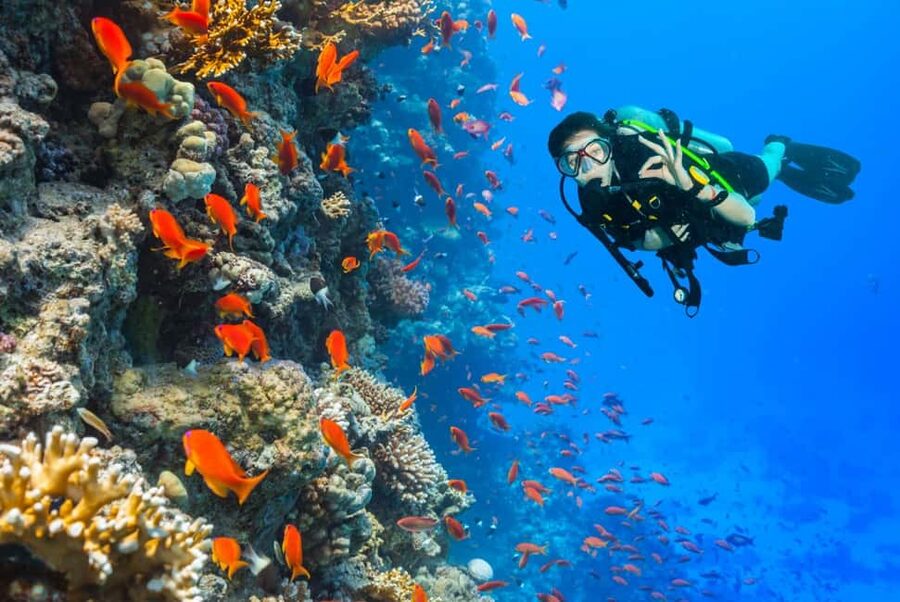 Eilat: Intro to Diving with Certified Instructor - Should you book it?