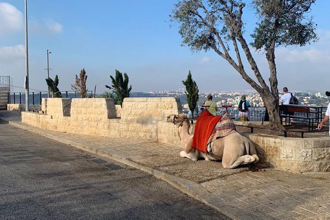 Explore Jerusalem's Old City - Via Dolorosa leads into the Christian Quarter