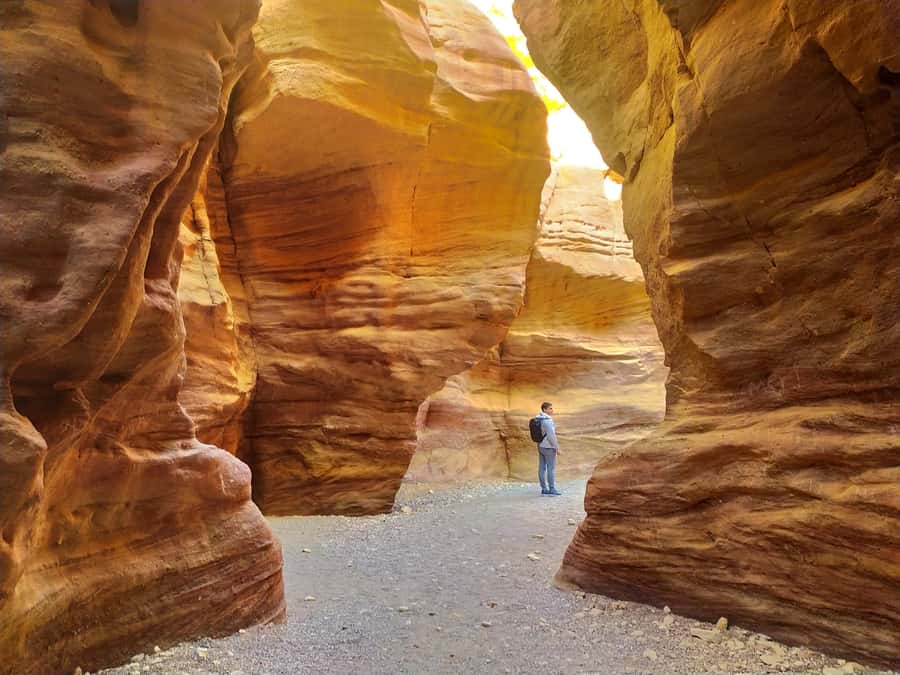From Eilat: Red Canyon Guided Tour - Walking through the red rock gorge