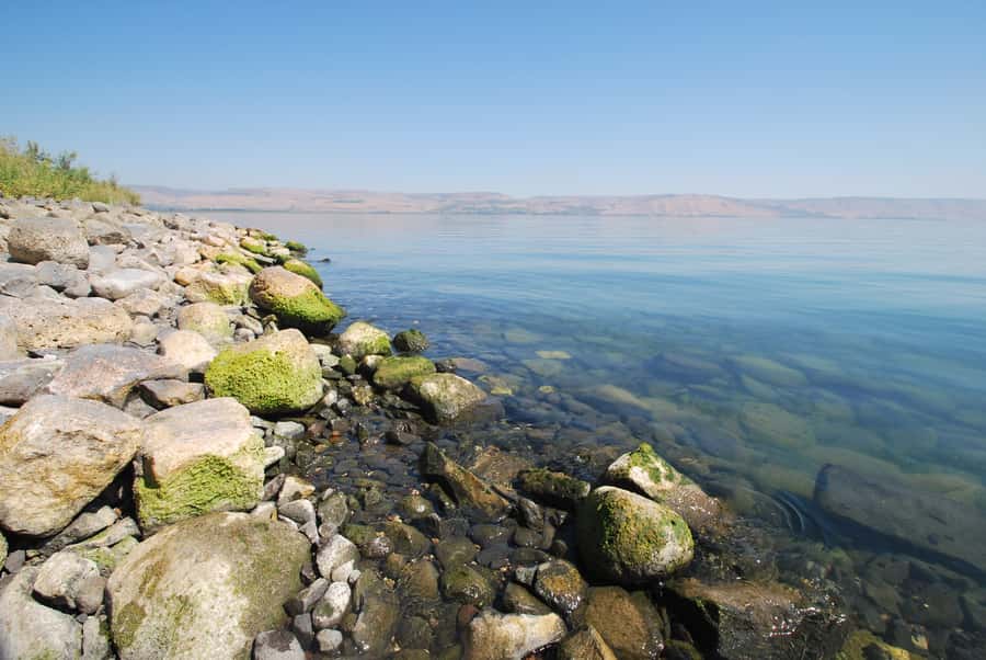From Haifa: Guided Day Trip to Nazareth and Sea of Galilee - Nazareth, from Mary’s Well to the Annunciation Church