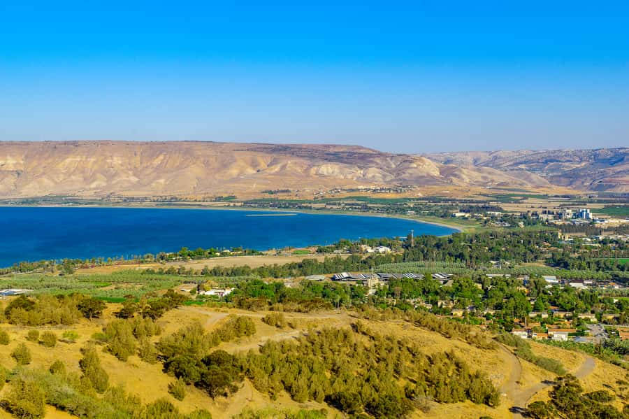 From Jerusalem: Day Trip to Golan Heights and Mount Bental - The guides can make or break the day