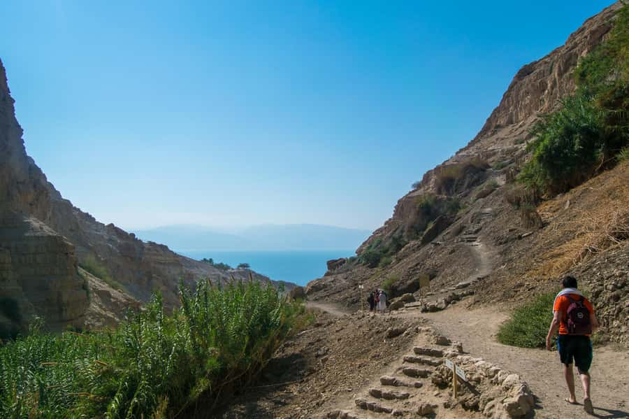 From Jerusalem: Masada at Sunrise, Ein Gedi & Dead Sea Tour - Floating in the Dead Sea