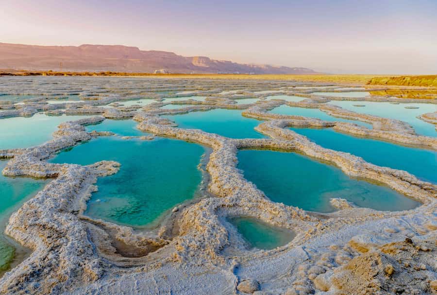 From Jerusalem: Masada&Dead Sea Tour INCLUDING ENTRANCE FEES - Key points to know before booking