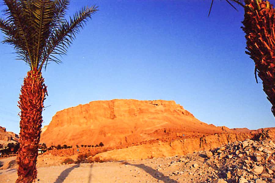 From Jerusalem: Masada&Dead Sea Tour INCLUDING ENTRANCE FEES - What is included for $111