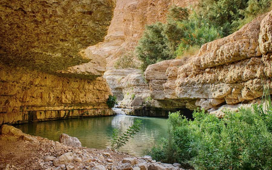 From Jerusalem: Masada Sunrise, Ein Gedi & Dead Sea Day Trip - Ein Gedi, where desert turns green
