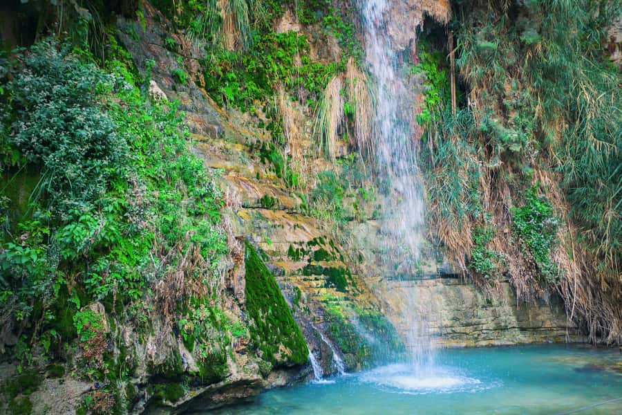 From Jerusalem: Masada Sunrise, Ein Gedi & Dead Sea Day Trip - The guide and the group experience