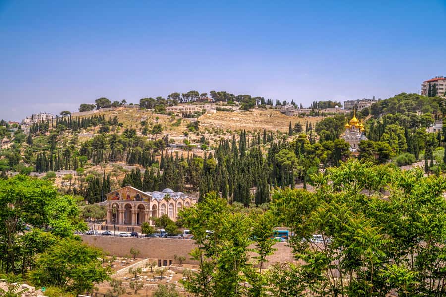 From Jerusalem Small group tour Old&New City ENTRY FEES INCL - Why this one-day Jerusalem tour works
