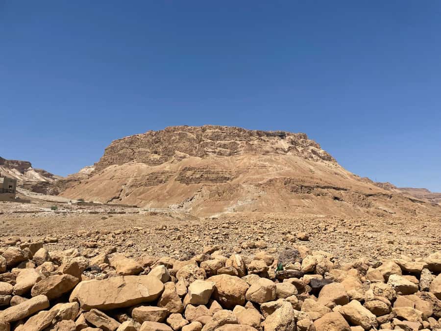 From Jlm : Masada Dead Sea Small Group Tour INCL. ENTRY FEES - Group size, guiding, and comfort