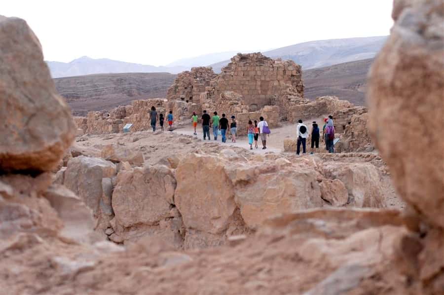 From Jlm : Masada Dead Sea Small Group Tour INCL. ENTRY FEES - Pickup from Jerusalem and the Judean desert drive
