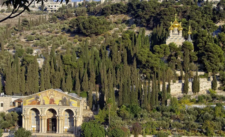 From Tel-Aviv: Day Tour to Origins of Christ in Jerusalem - Dominus Flevit and the view over Jerusalem