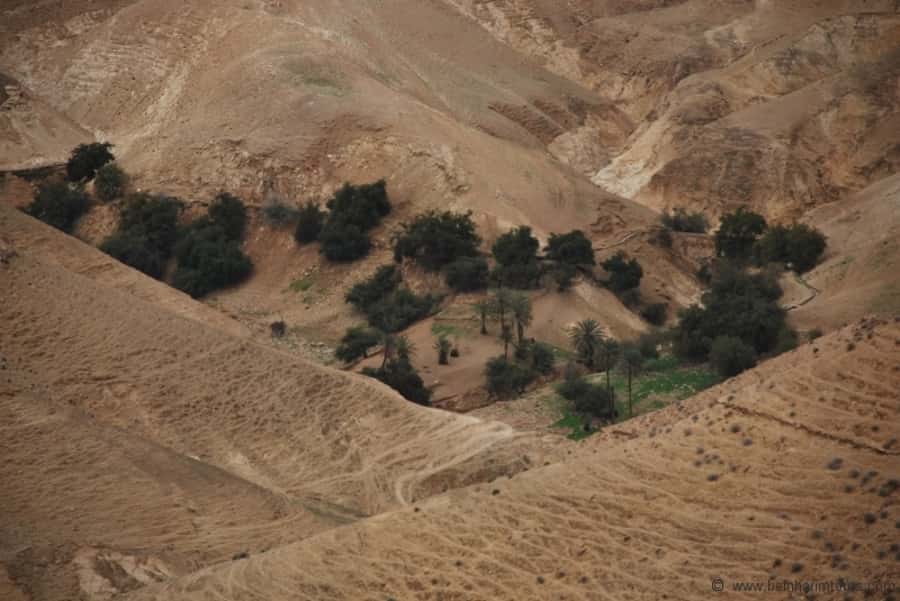 From Tel Aviv: Dead Sea Visit & Desert Safari - The day in six useful points