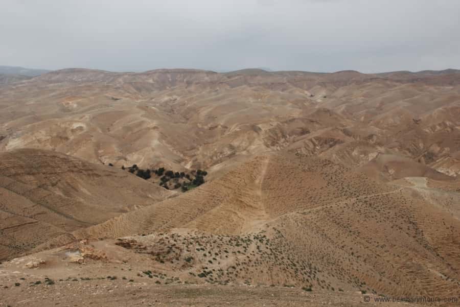 From Tel Aviv: Dead Sea Visit & Desert Safari - Leaving Tel Aviv for the Judean Desert