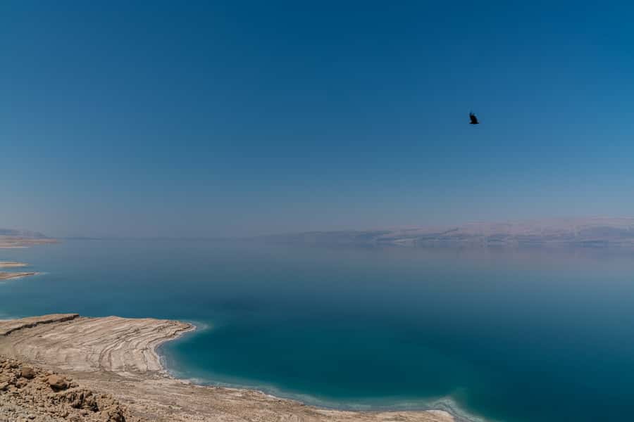 From Tel Aviv: Dead Sea Visit & Desert Safari - The 4WD ride through rough desert terrain