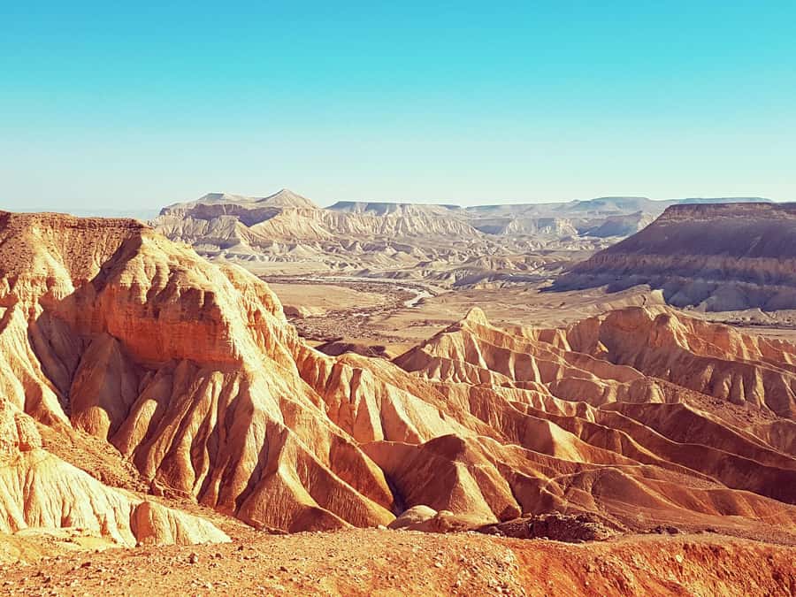 From Tel Aviv: Dead Sea Visit & Desert Safari - Coffee under the vehicle shade