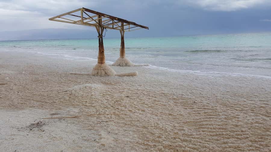 From Tel Aviv: Full-Day Dead Sea Relaxation Tour - Ein Gedi, an oasis in hard country