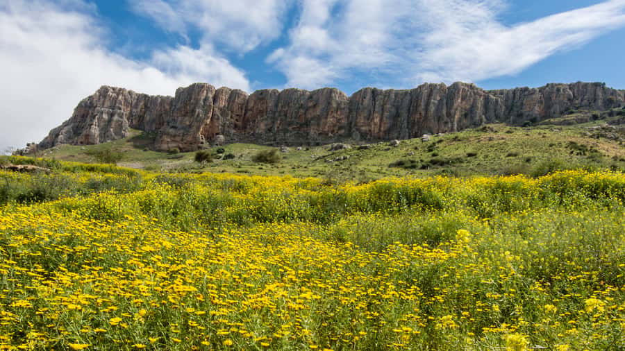 From Tel Aviv: Golan Heights Tour - Key points at a glance