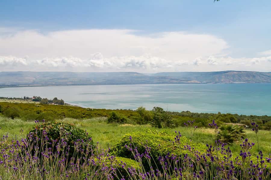 From Tel Aviv: Magdala, Mount of Beatitudes, and Cana Tour - The guide can make or break the day