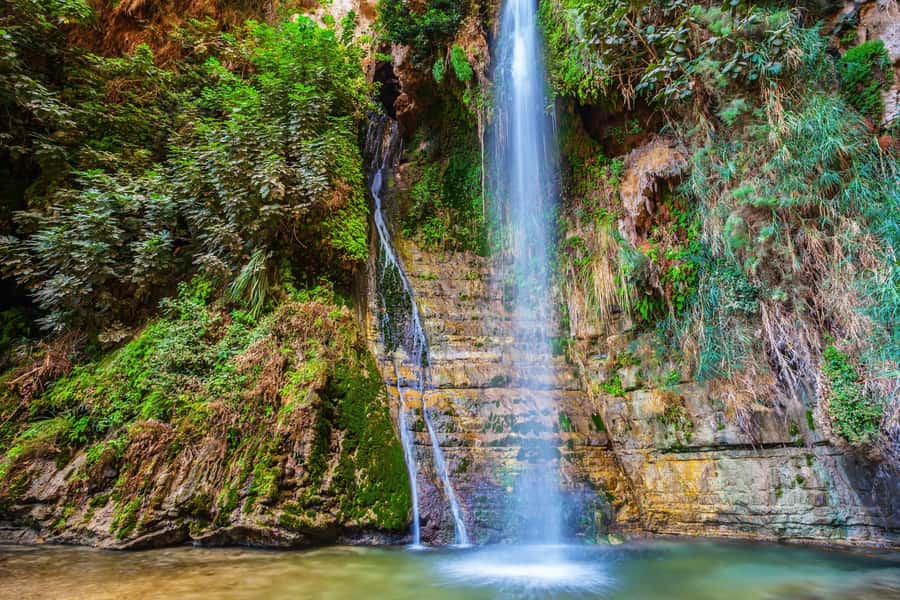 From Tel Aviv: Masada, Ein Gedi & Dead Sea Tour - Should you book this Masada and Dead Sea tour?