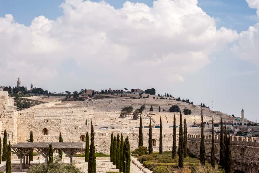 Full Day City Tour of Jerusalem - The Western Wall and Temple Mount