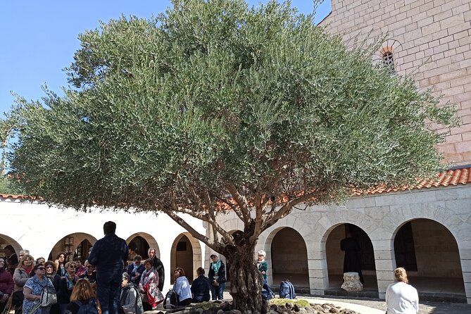 Full Day Tour to Nazareth and the Sea of Galilee - The Mount of Beatitudes and the Sermon on the Mount