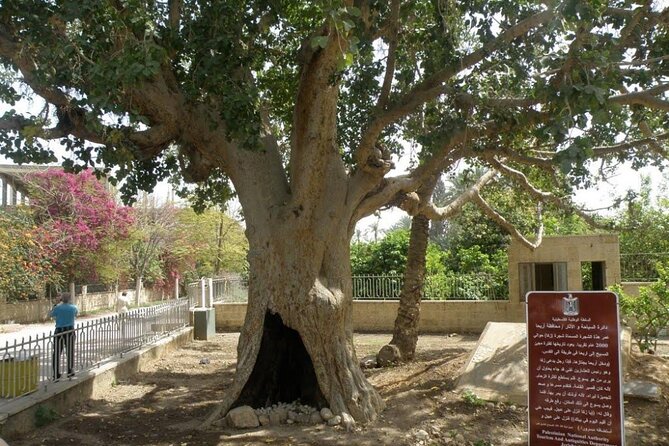 FullDay Bethlehem Jericho Guided Tour From Jerusalem -small group - Mount of Temptation and the optional cable car