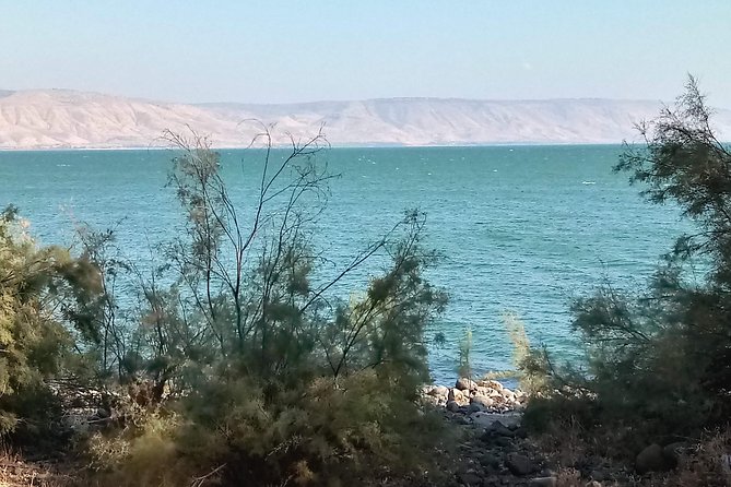 Galilee Day Tour - Tabgha: mosaics and a close look at the Sea