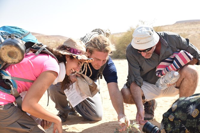 GoKedem 5-Day Private All-Inclusive Cross-Israel Adventure - What the $1,699 price includes