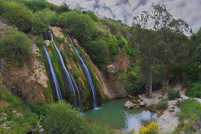 GoKEDEM Golan Heights ATV Action & Wine-Tasting Tour From Tel Aviv - Five useful things to know before you book