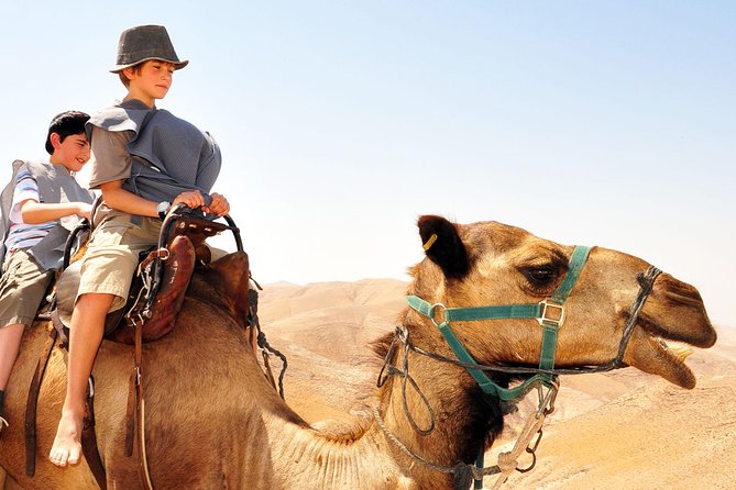 GoKEDEM Masada, DeadSea Camel Ride & Beduin Feast Tour From Tel Aviv - Why this private route from Tel Aviv can make sense