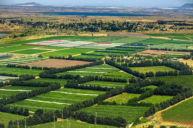 Golan Heights Day Trip from Jerusalem - Mount Bental and the view into Quneitra Valley
