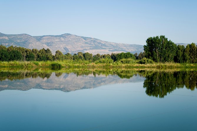 Golan Heights Day Trip from Tel Aviv - Katzrin’s ancient village and 6th-century synagogue