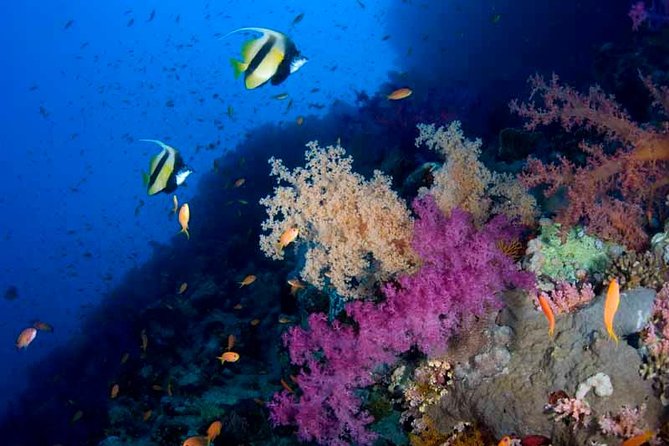 Introductory Dive in Eilat - Meeting your instructor at Aqua Star