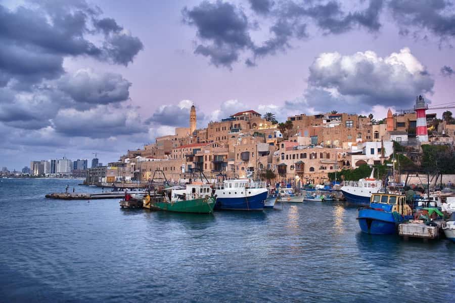 Jaffa: Old City, Port & Shuk Hapishpishim Walking Tour - Mahmoudiya Mosque and the Muslim quarter