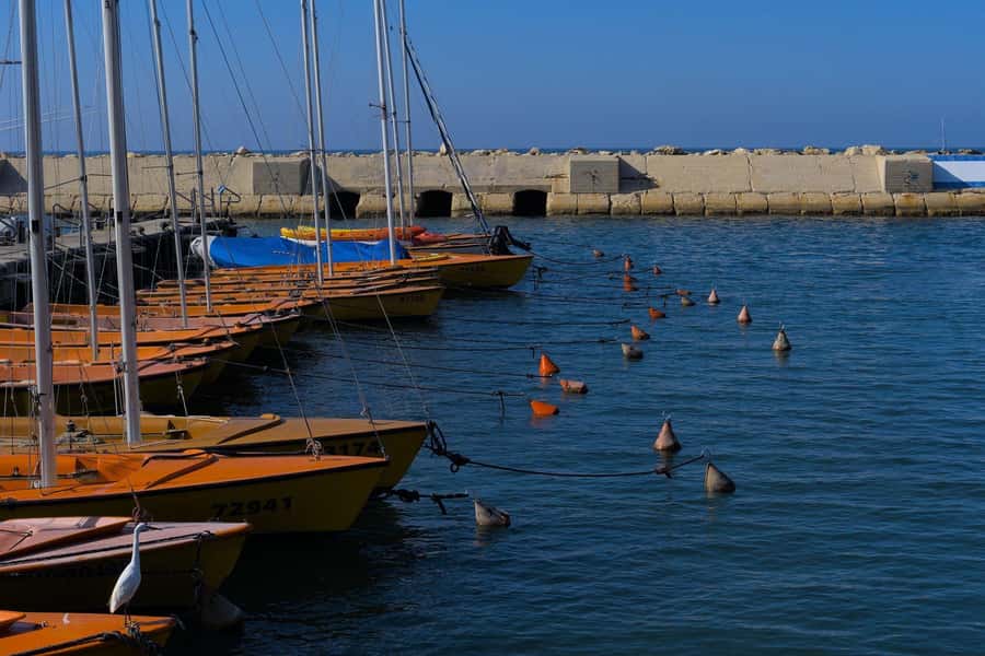 Jaffa: Old City, Port & Shuk Hapishpishim Walking Tour - Is $39 a fair price?