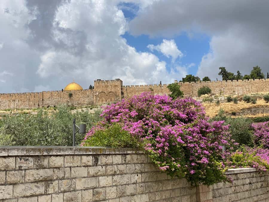 Jerusalem: 3–Hour Old City Tour in French - Walking the Roman Cardo beneath modern Jerusalem