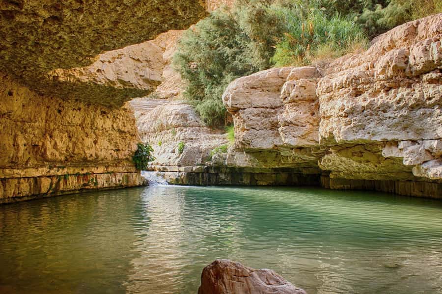 Jerusalem: Masada, Ein Gedi & Dead Sea Tour - Key points to know before booking